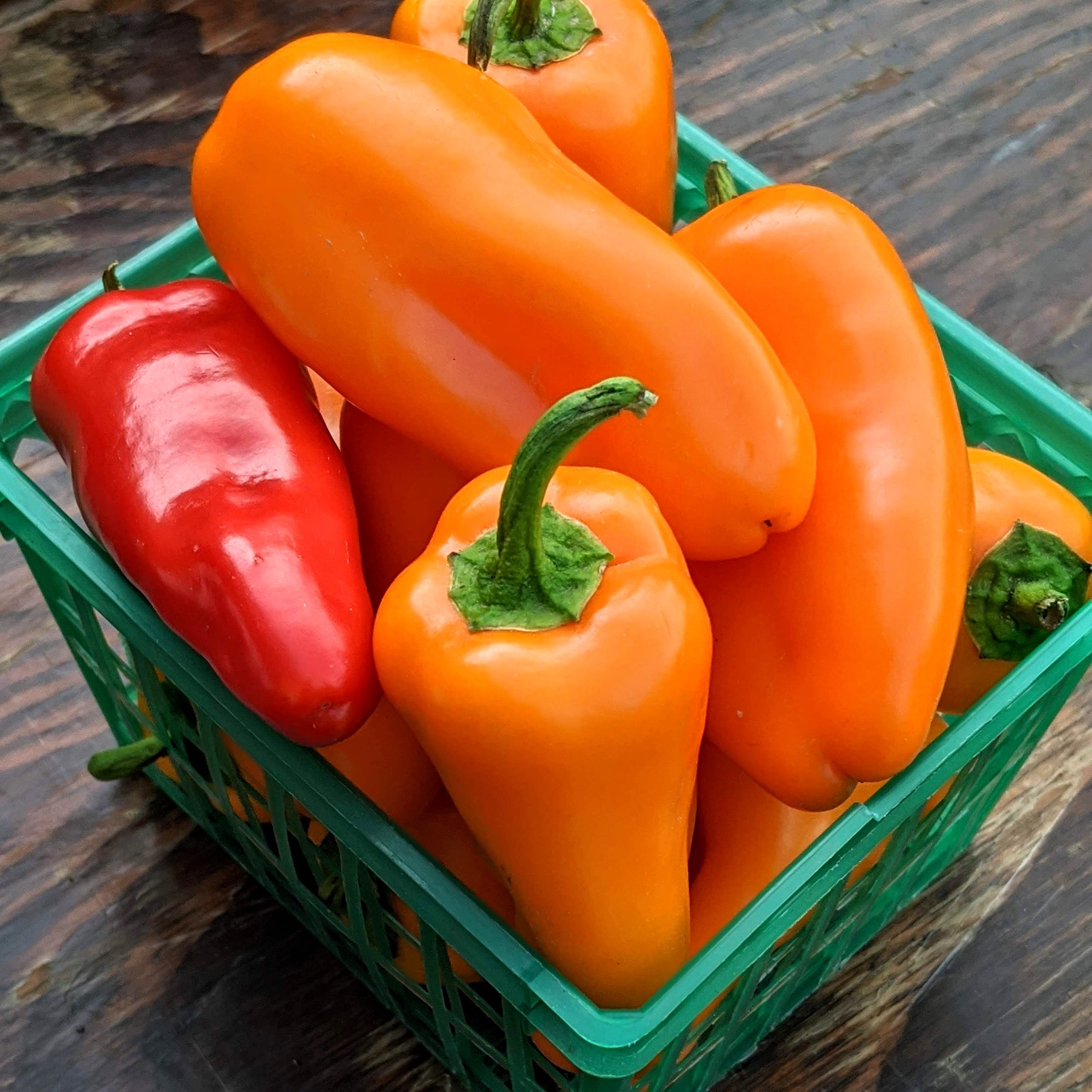 Lunchbox peppers shop